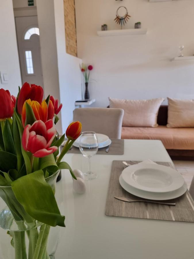 Bruno'S Poolside Apartments - Near Beach Τρογκίρ Εξωτερικό φωτογραφία